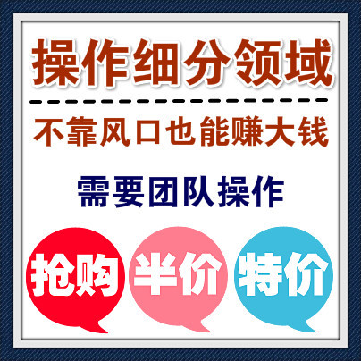 操作细分领域月入10万的网赚项目，需要团队操作！